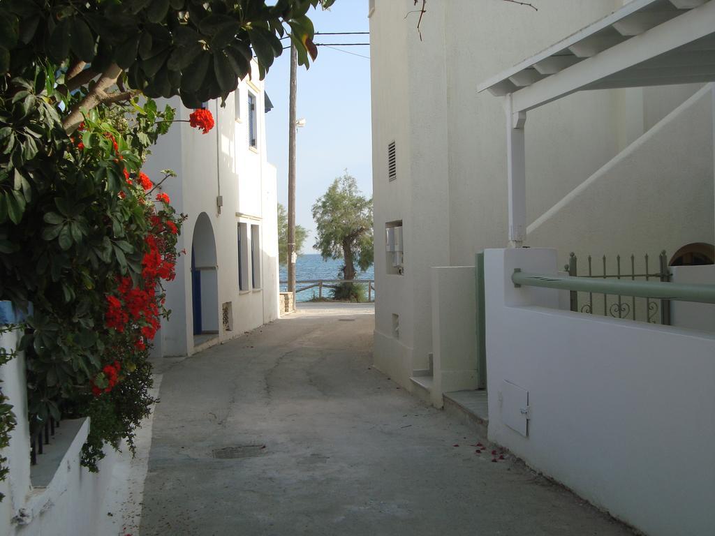Studio Near The Sea Agia Anna  Eksteriør billede