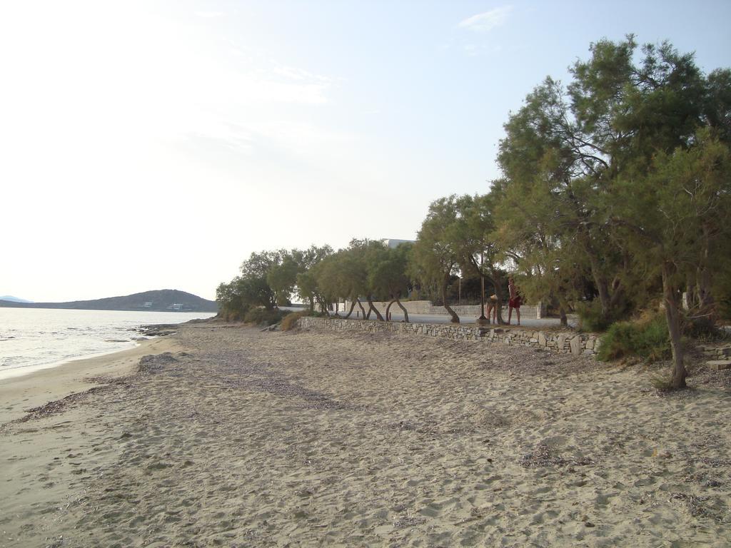Studio Near The Sea Agia Anna  Eksteriør billede